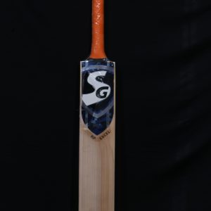 SG RP EXCEL